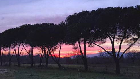 Villa Donnola: casa Rosmarino - Foto 4