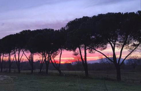 Villa Donnola: casa Rosmarino - Foto 4