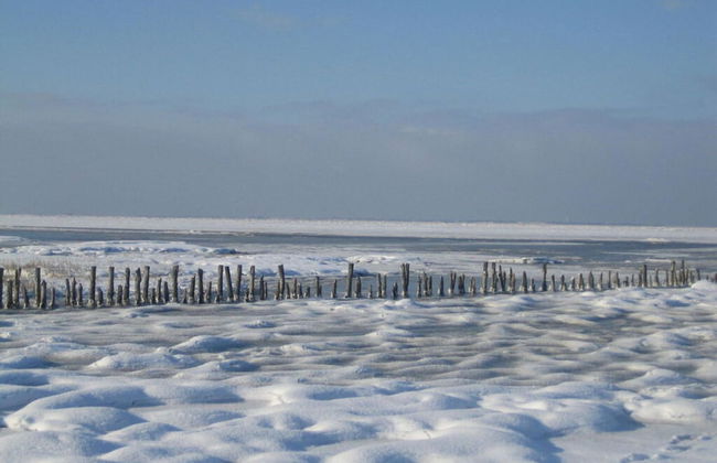 Slanitz Modern Retreat - Foto 30