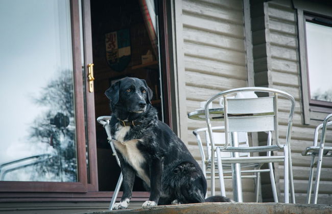 Armadale Castle Cabins - Photo 55