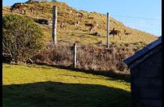 Stags View Holiday Home - Foto 18