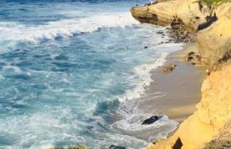 Amazing La Jolla Ocean View 2 bedroom apartment - Photo 31