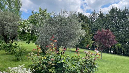 Casa Fuentes de Ledina - Foto 3, Garden, Garden view