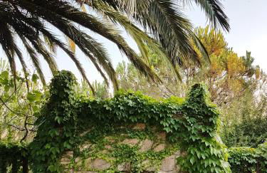 Agriturismo Il Drago - Foto 18