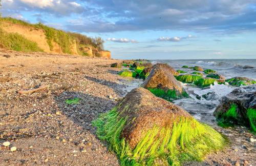 Ferienanlage in Klein Zicker Ferienwohnung 1 - Seeseite - Foto 31