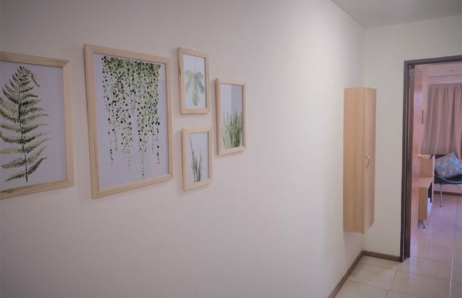 Apartamentos Mendoza - Photo 16