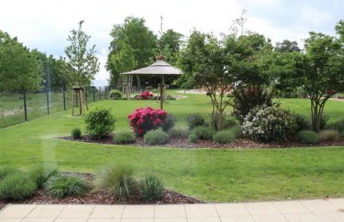 Haffhaus 1 in Garz mit Blick auf das Haff - Foto 21