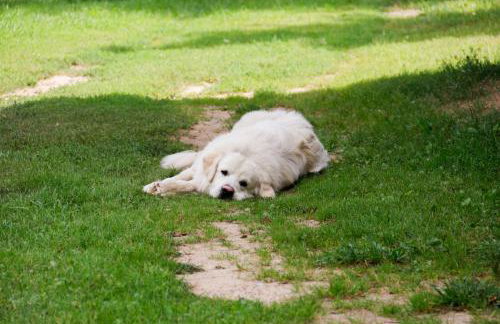 Zacisze Markowszczyzna - Foto 12