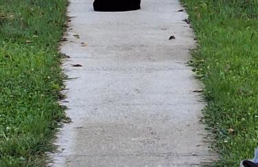 Kuća za odmor uz rijeku Utinju - Foto 32