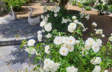 Alexia's resorts - Photo 27