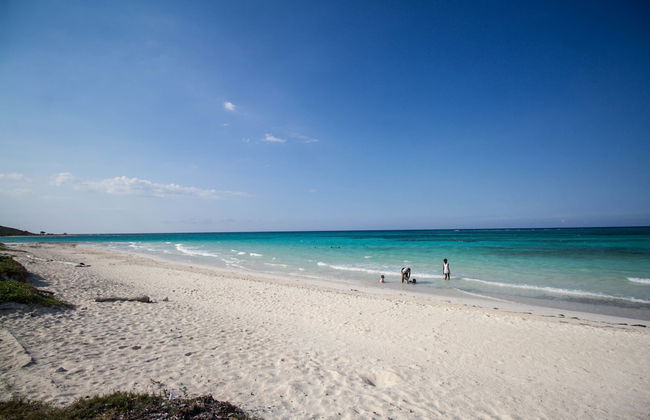 Yellow Canary Beach Villa - Photo 34