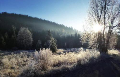 Zimski san - Foto 30