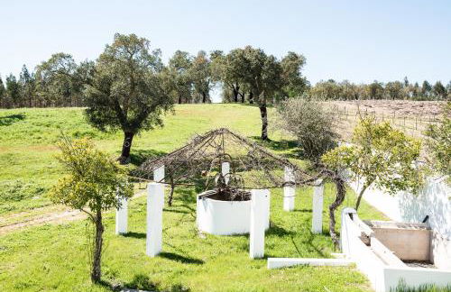 Monte das Texugueiras - Foto 8