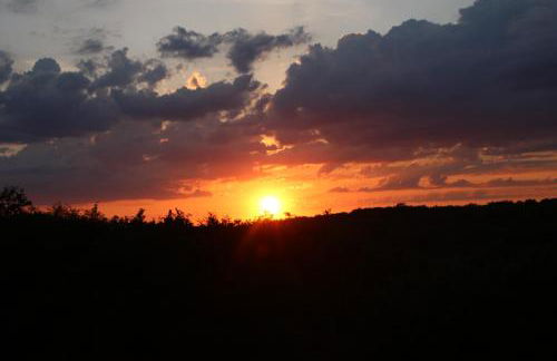 Premium-Apartment-OstseePur-incl Parken-Wlan-Strand und Citynähe - Foto 16