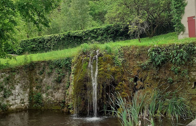 Apartment in Serrieres Castle Near French Alps - Photo 16