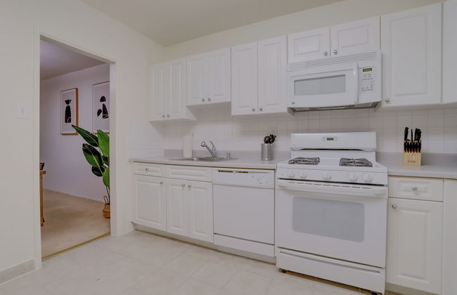 Modern Apt Near Airport in Cystal City - Photo 14