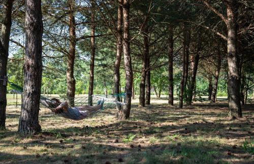 Sosnówka - dom wypoczynkowy na Kurpiach - Foto 28