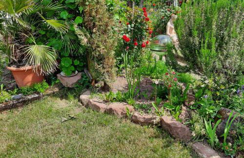 Neugärten - Foto 10