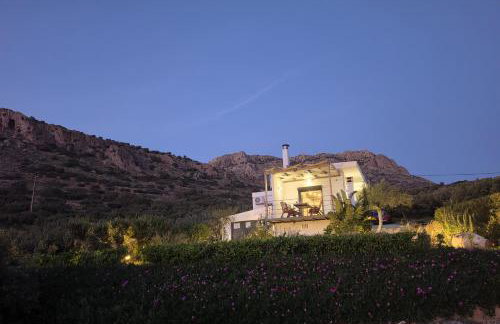 Casa di Olive - Photo 16