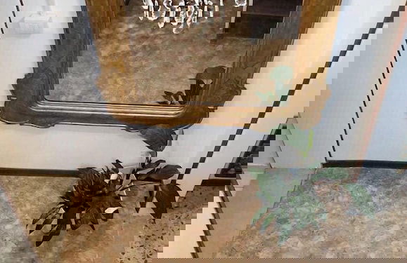 Umberty House - Foto 9