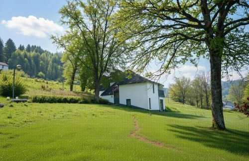 Lavish holiday home in Oberhambach - Foto 30