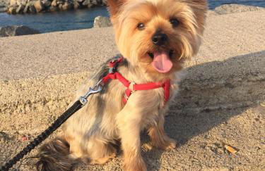 Chalet Argoños - Foto 54