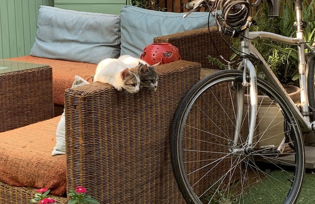 The Suite Apart Hotel Kaleiçi - Photo 78