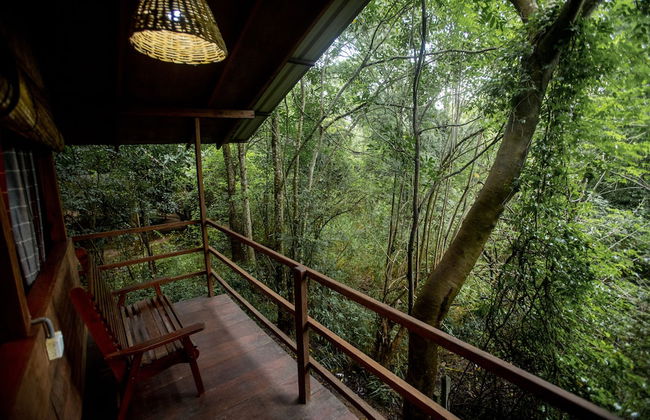 Inn On The Tree Eco Resort Sigiriya - Photo 1