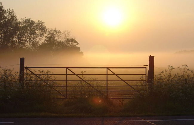 Schelphoekje Modern Retreat - Photo 10