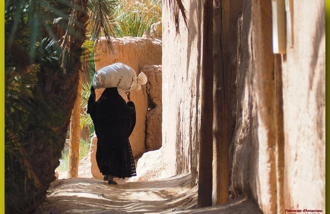 "Amazraou Oasis Sahara Expedition | Privado y de lujo - Foto 7