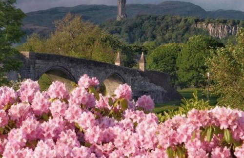 Cosy Cottage - Photo 17