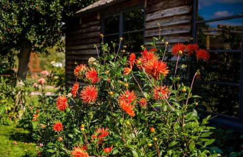 Medieval Manor House - Foto 41