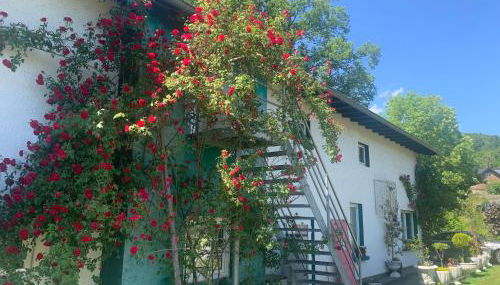 Rosenstufen - Foto 5