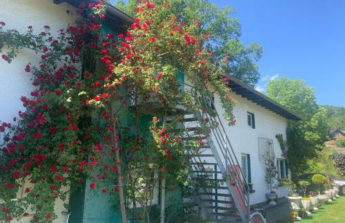 Rosenstufen - Foto 5