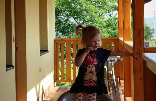 PENZION POD PALAVU - Photo 33