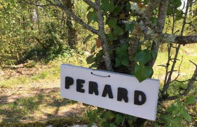 Le Gîte Pérard - Foto 34