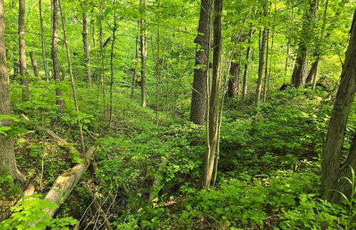 Creekside Cozy 3BD • Near Dunes - Foto 23