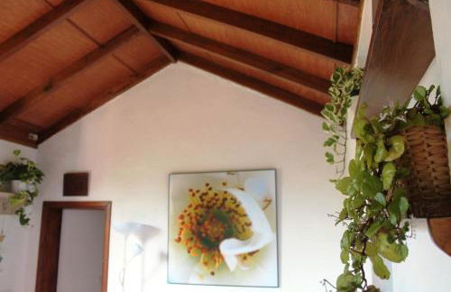 FINCA LA PLANTACIÓN _Agroturismo - Foto 19