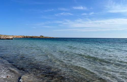 Nespolilla - Foto 22