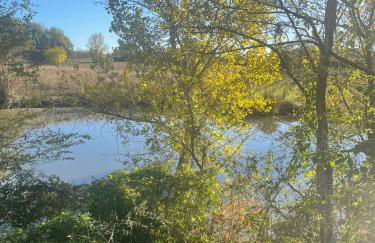 Nuova Scardua Agr Cucina Tipica - Foto 70