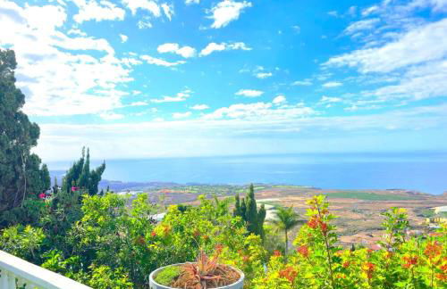 3 Avitaciones - Foto 13