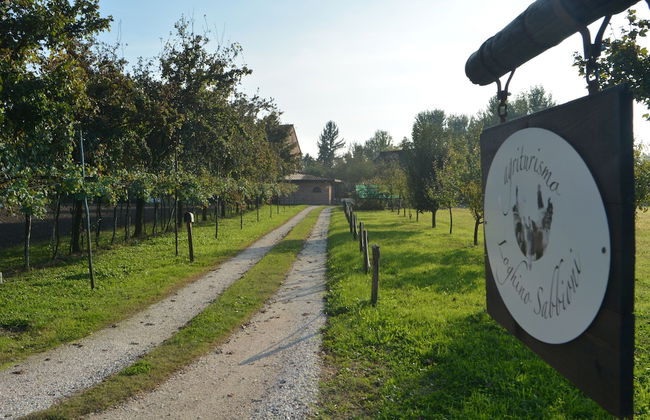 Agriturismo Loghino Sabbioni - Photo 31