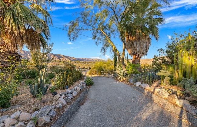 The Juniper - Foto 43