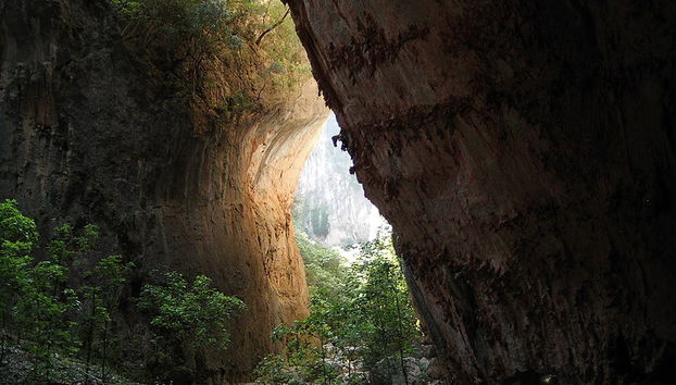 White Villages of Andalusia Tour and Ronda - Photo 2