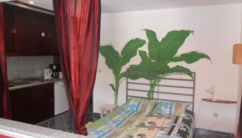 studio Mira - Foto 3