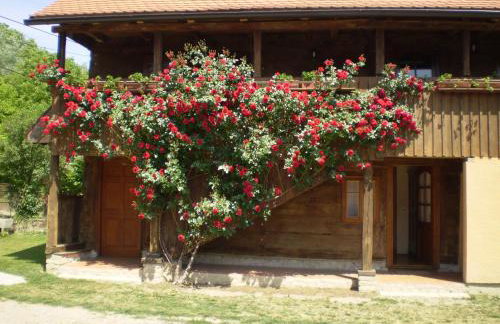 Apartments Iža Na Trem - Foto 11