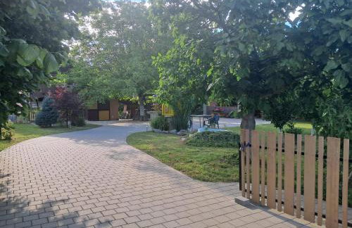 Paun - Photo 37