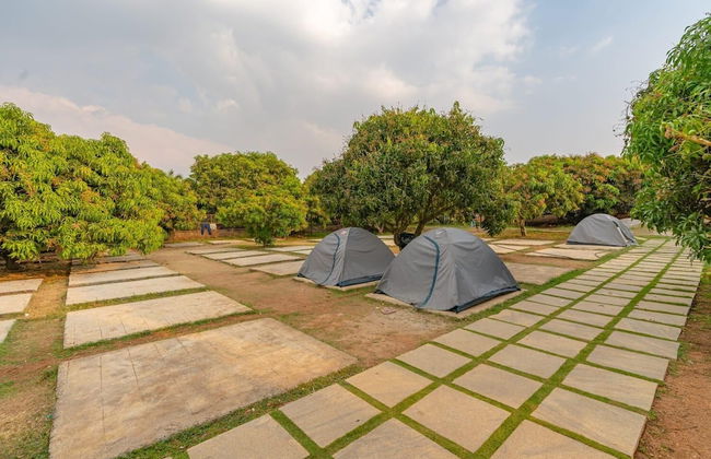 Q Mango Resort - Foto 1