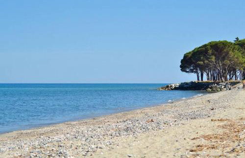 Les villas de Mélody - Foto 62