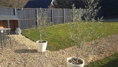 Oak Cottage - Perfect for Golfing, Walking & Relaxing - Foto 5